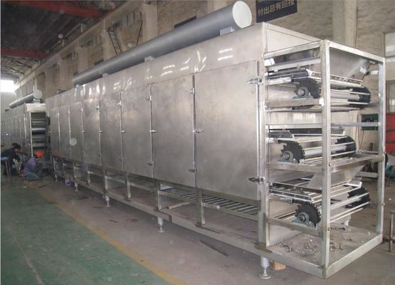 Correia transportadora Multilayer Oven For Onion/gengibre de ar quente da série de DWG