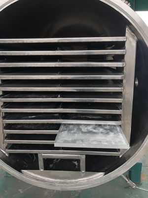 Máquina de secagem mais seca farmacêutica do tomate da máquina 1100W do gelo