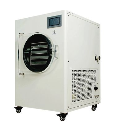 Secador de aquecimento elétrico da sublimação da máquina do secador de gelo do vácuo para o vegetal