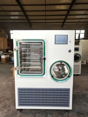 Equipamento de liofilização e liofilização, máquina de liofilização a vácuo de 5000 kg/lote para frutas secas