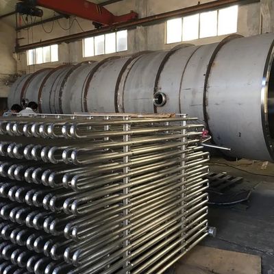Secador mais seco da sublimação da máquina 30kg/Batch-5000kg/batch do gelo da carne SUS304
