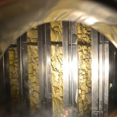 Secador mais seco da sublimação da máquina 30kg/Batch-5000kg/batch do gelo da carne SUS304